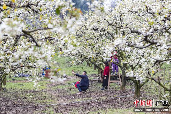 游客在贺州市八步区莲塘镇美仪村赏山楂花。黎豪图 摄