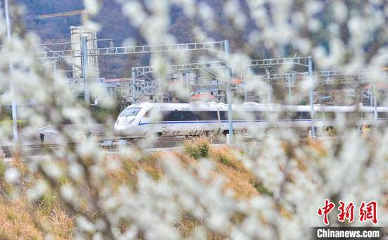 一列动车组列车在贵广高铁贵州省从江县洛香镇段附近行驶。卢忠南 摄