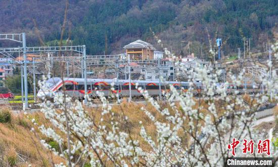一列动车组列车在贵广高铁贵州省从江县洛香镇段附近行驶。卢忠南 摄