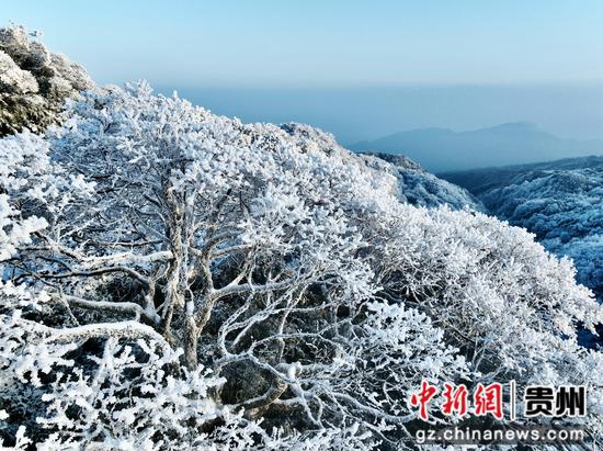 在贵州省道真仡佬族苗族自治县大沙河境内拍摄的雪景
