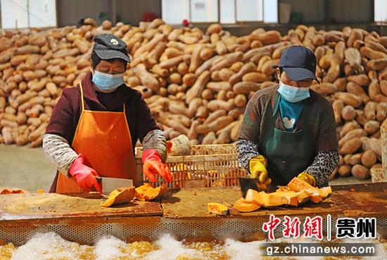 2024年2月21日，工人在贵州省铜仁市印江土家族苗族自治县一家南瓜加工厂内分切南瓜块。