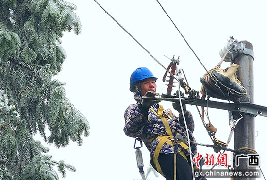 桂林市灌阳县多措并举抗冰冻 全力保电保民生