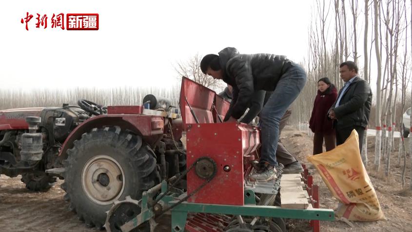 新疆阿克苏市34.1万亩冬小麦返青追肥工作全面铺开
