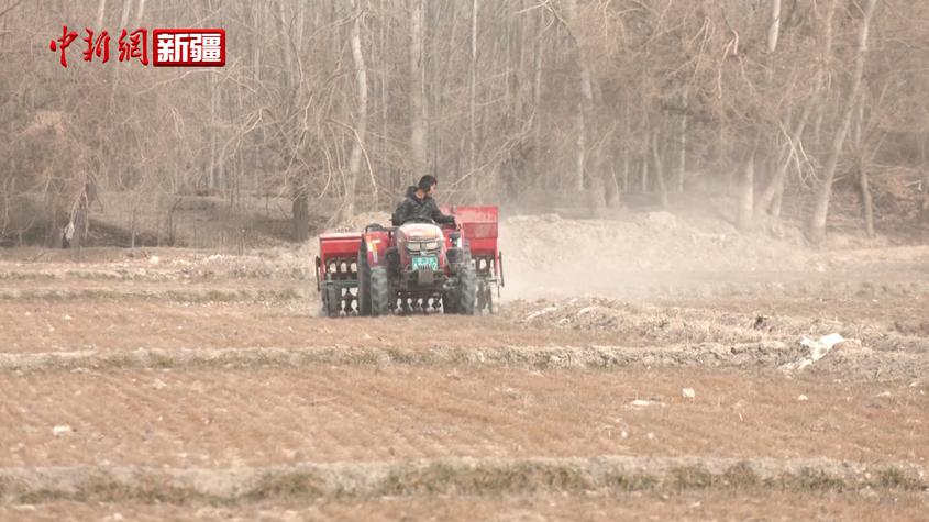 新疆阿克苏市34.1万亩冬小麦返青追肥工作全面铺开