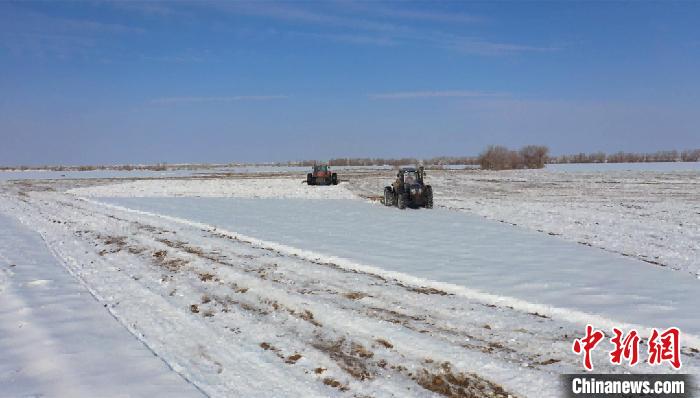 去冬今春，石河子垦区多个团场的田间降雪量达30厘米以上。路明德 摄