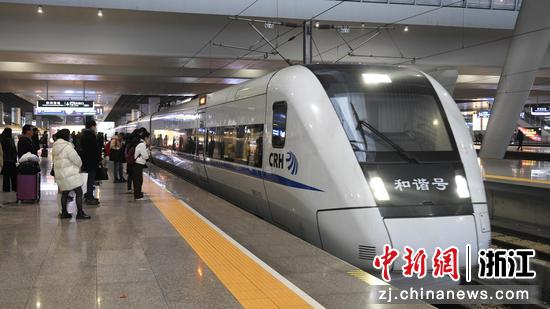 列车驶入杭州东站。中新社记者王刚摄