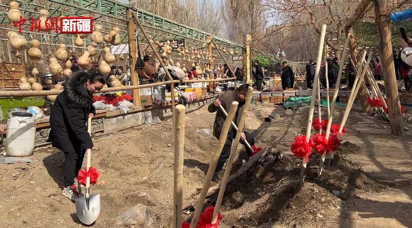 “新疆第一春 春游吐鲁番”首届吐鲁番葡萄开墩节开幕