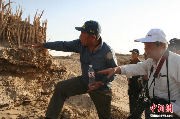 东西问·名家坊丨王炳华：享誉学界的新中国新疆考古拓荒人