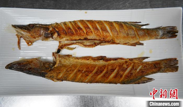 精致的冷水鱼饮食文化，推动着新疆餐饮服务业的发展。图为香煎狗鱼。尹江林 摄