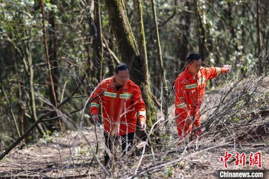3月11日，陈正华(左)和同伴尤明红在林场清理残枝。中新网记者 瞿宏伦 摄