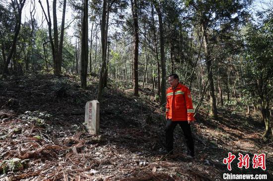 3月11日，陈正华在林场巡护。中新网记者 瞿宏伦 摄