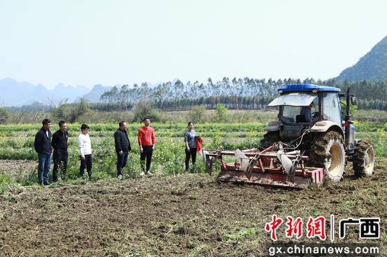 柳州市柳江区万亩绿肥压青还田 助力水稻增产
