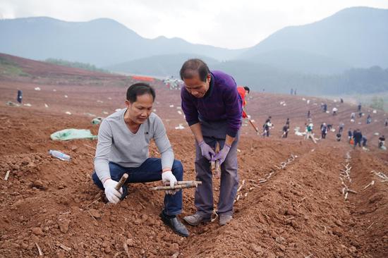 春耕工作服务队农技人员向农户传授种植技术。陆江 摄
