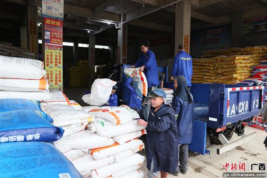 图为崇左市江州区罗白乡杨华生的化肥经营部工人卸货。黄学森 摄