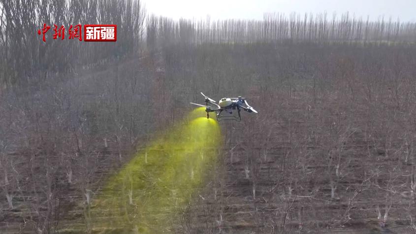 新疆温宿：无人机助力春耕 果园充满了“科技范”