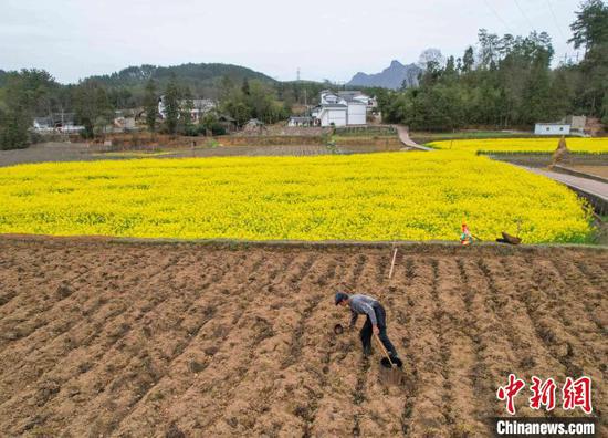 村民在施秉县甘溪乡望城村地里施肥。磨桂宾摄