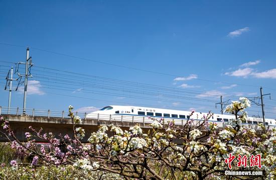 贵州黔西：春日列车花间行