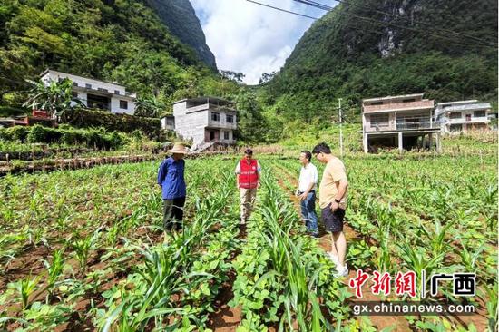 大化瑶族自治县雅龙乡宏伟村工作队员黄华在田间宣传耕地保护政策。