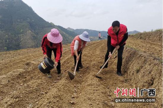 天峨县向阳镇林驻村工作队员廖克宏与村民一起耕地。