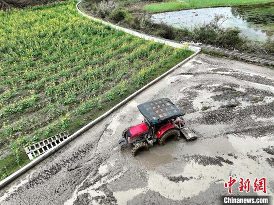 在贵州省锦屏县钟灵乡高寨村，村民在翻犁秧田为水稻播种做足准备。李斌 摄