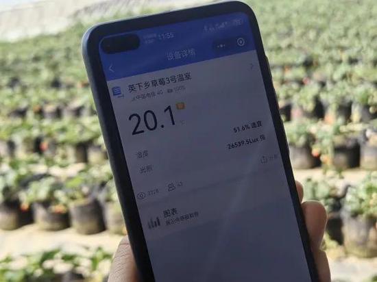 3月27日，在现代设施农业产业园智慧温室大棚，工作人员正在用手机监测大棚的温度。