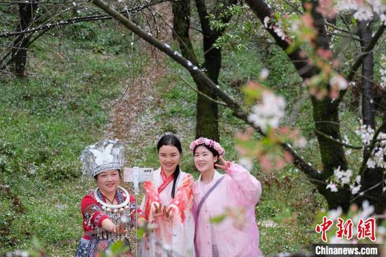 游客在贵州贵安新区樱花园内拍照。中新网记者 石小杰 摄
