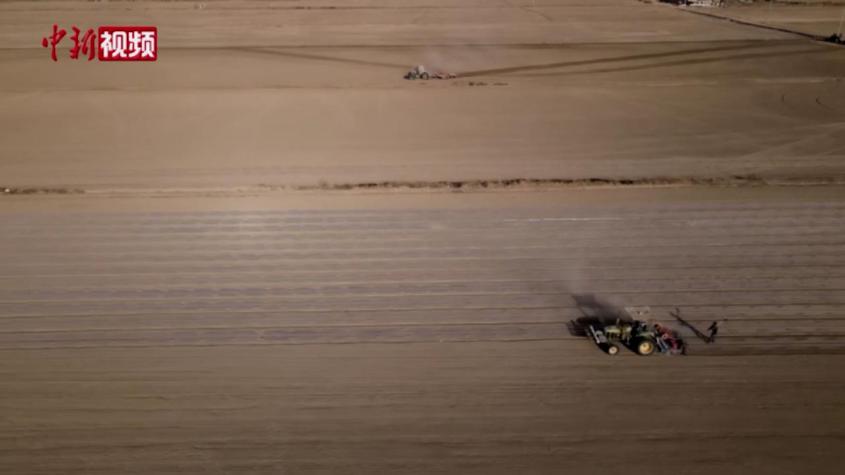 新疆百万亩棉花开播 现代农机“唱主角”