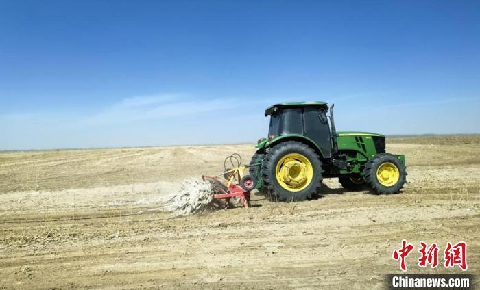 新疆兵团持续推进残膜回收 促进农业绿色发展