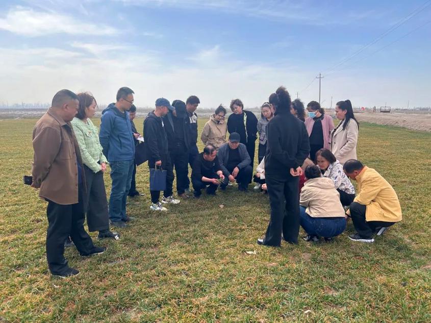 新疆焉耆县农业农村局开展小麦田间管理技术培训