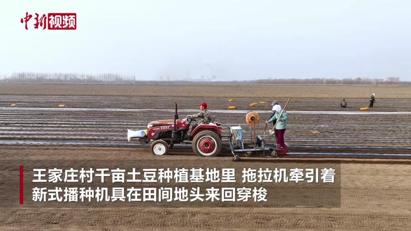 实拍新疆玛纳斯全程机械化种植土豆