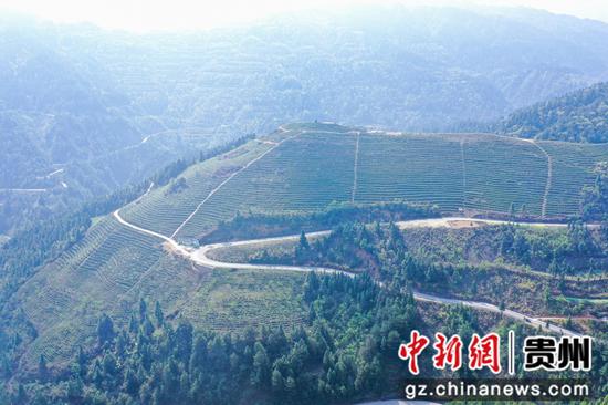 台江县排羊乡九摆茶场航拍图。张家精摄