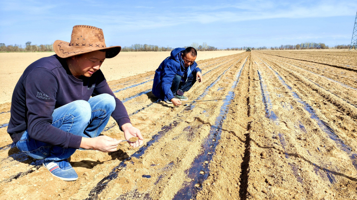 4月6日，正在察布查我镇乌宗布推克墟落社区秋耕天里，华岩明摄 		                  		            	                                    <img lang=