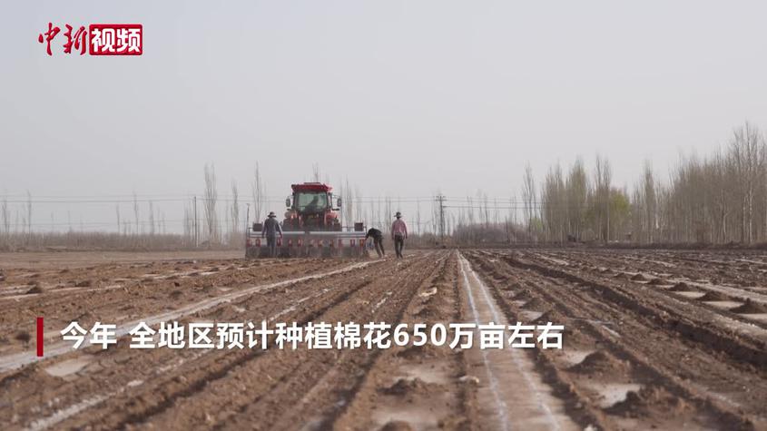 新疆喀什地区650万亩棉花全机械化播种