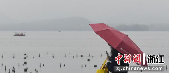 游人撑伞游西湖。中新社记者 王刚 摄