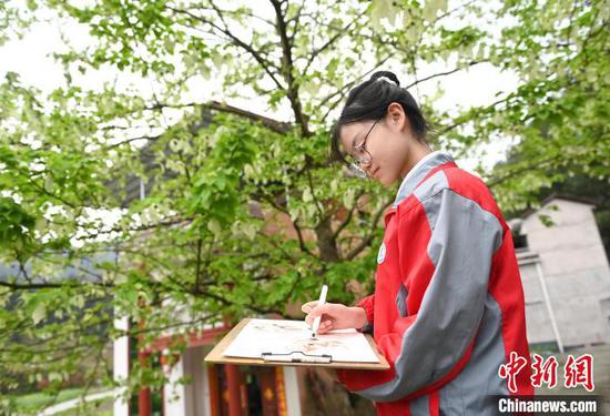 4月10日，学生在贵州省铜仁市松桃苗族自治县乌罗镇毛溪村的鸽子花树下画画。谢慧芳 摄