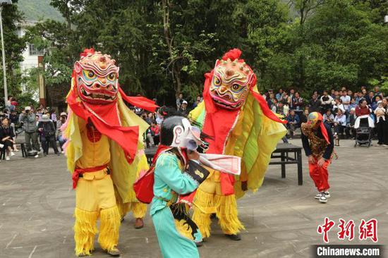 图为贵州册亨大寨村布依群众欢庆传统节日“三月三”，村民表演布依高台舞狮。叶方杰 摄