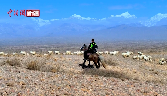 新疆温宿：民警化身“牧羊人” 护航牧民转场