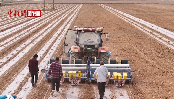 新疆库车：科技种植助力农业提质增效