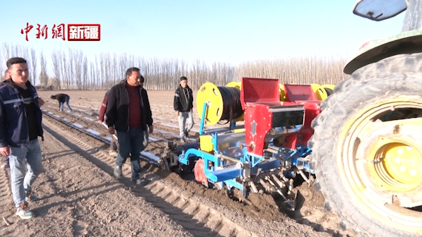 新疆拜城：13万亩甜菜播种工作全面铺开