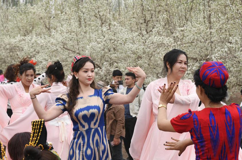4月15日，新疆伽师县举行第四届新梅花开文学艺术采风活动。图为游客和当地民众在新梅花丛中跳起麦西来甫。