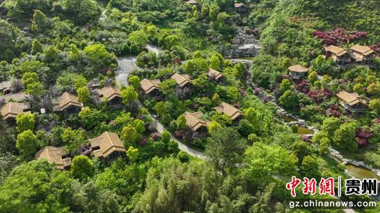 桐梓县杉坪景区。桐梓融媒供图