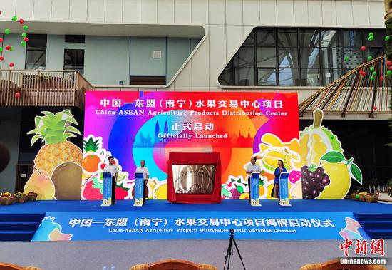 2023年8月27日，中国—东盟(南宁)水果交易中心项目揭牌启动。黄艳梅 摄