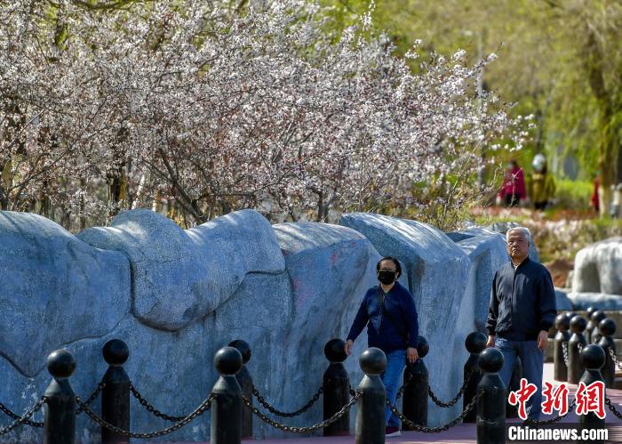 乌鲁木齐市南湖广场，春意盎然。中新网记者 刘新 摄