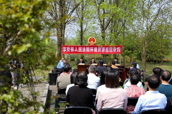 淳安县人民法院环境资源巡回审判