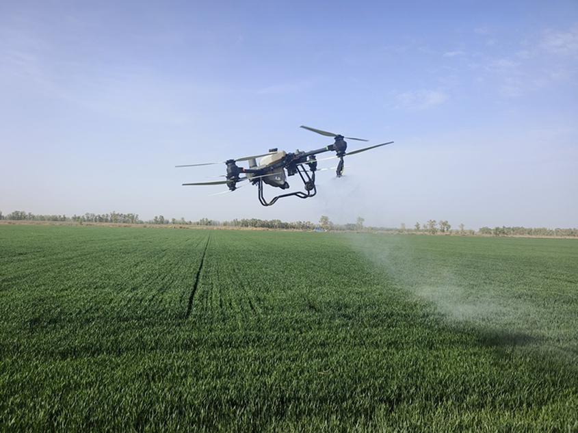 无人机“一喷三防”科技护航冬小麦促丰收