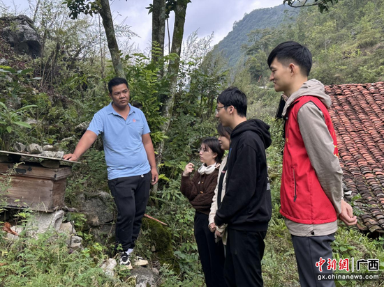 驻村第一书记龙波带领广西艺术学院人文学院大学生团队对野生金银花蜜进行现场调研