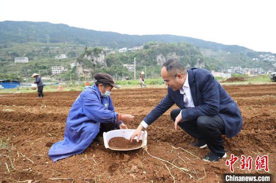 图为吴剑平在田间查看种植情况。熊俊 摄 图为吴剑平在田间查看种植情况。熊俊 摄
