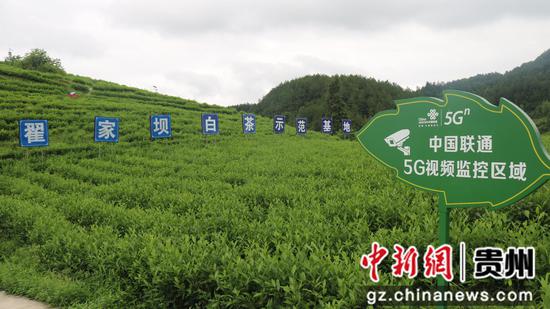 “5G智慧茶园”。张国民 摄 “5G智慧茶园”。张国民 摄