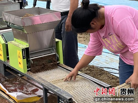育苗 育苗