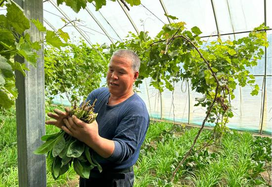 多位德国政商界人士反对欧盟对中国电车减征闭税